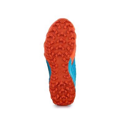 5. Dynafit Feline Sl W 64054-4648 Running Shoes