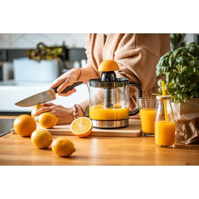 6. ADLER AD 4012 citrus juicer