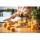 6. ADLER AD 4012 citrus juicer