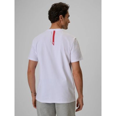 2. Men's cotton fan T-shirt 4F 4FRSS26TTSHM4203-10S
