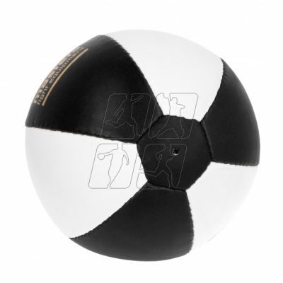 4. Masters Rotate Reflex Ball 25 cm SP-R 1470502-25