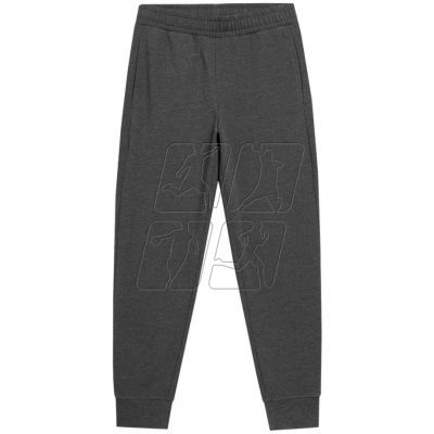 Outhorn M HOL22 SPMD600 23M pants