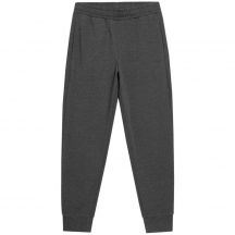 Outhorn M HOL22 SPMD600 23M pants
