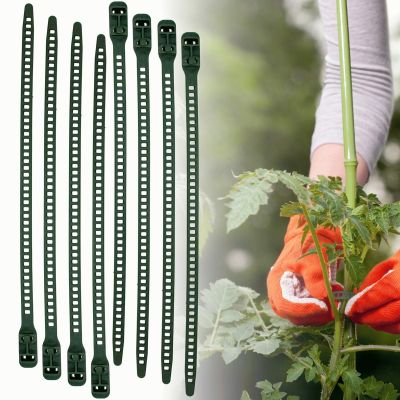 13. PLANT ACCESSORIES GARDEN BAND 8 PCS PROGARDEN
