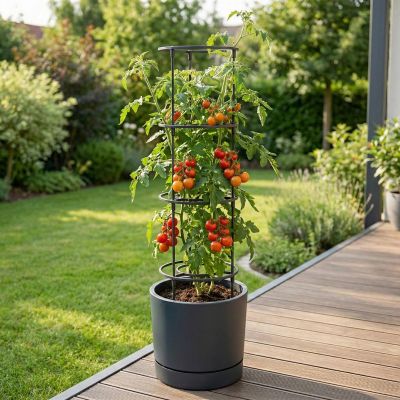 7. TOMATO PLANTING POT WITH LADDER CAPACITY 35L HOME GROWER ANTHRACITE