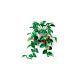5. LEGO Botanical Collection 11512 - Hanging Golden Epipremnum