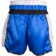 17. Kickboxing shorts Top Ten &quot;Wako Star&quot; M 0418641-02M