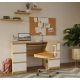 5. KUBA ARTISAN DESK/WHITE SET