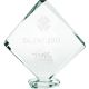 2. 3D engraved glass trophy with case
