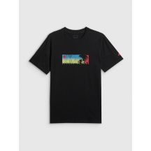 Men's regular printed T-shirt 4F 4FWSS26TTSHM3335-20S