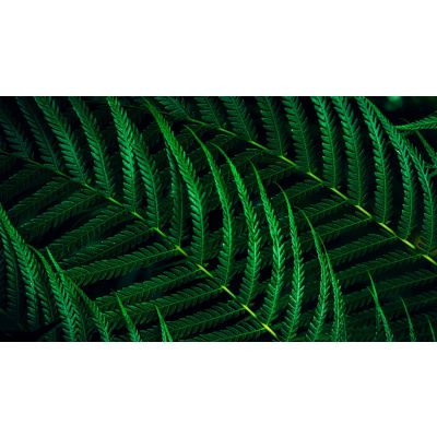 12. Philips 5000 series 24B2G5301/00, 60.5 cm (23.8"), 1920 x 1080 pixels, Full HD, LCD, 4 ms