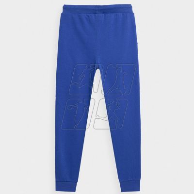 2. Trousers 4F Jr. 4FJSS23TTROM131 36S