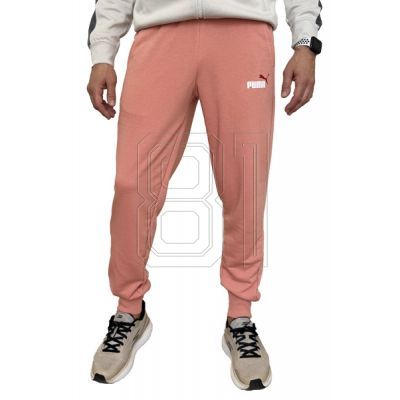 8. Puma Ess+ 2 Col Logo Pants M 586768 62