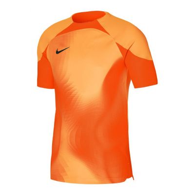 Nike Dri-FIT ADV Gardien 4 M Goalkeeper Jersey DH7760-819