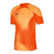 Nike Dri-FIT ADV Gardien 4 M DH7760-819 goalkeeper jersey