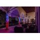 3. Twinkly Strings – 250 RGB+W String Light, transparent cable, Type F plug
