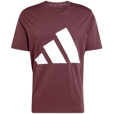 8. adidas Essentials Big Logo T-shirt M JE8939
