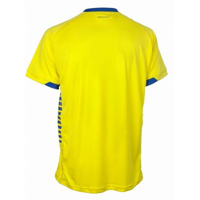 4. SELECT Spain T-shirt yellow/blue yellow/blue
