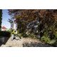 7. Battery-powered garden vacuum cleaner KARCHER BLV 36-240 Battery 1.444-170.0