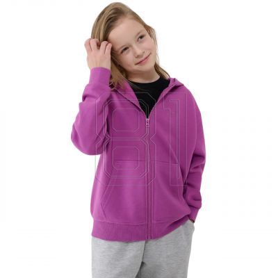 3. Sweatshirt 4F F1853 Jr 4FJWSS25TSWSF1853 50S