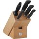 ZWILLING FOUR STAR Set of 4 knives in a block