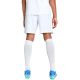 4. Puma Team Goal men's shorts white 705752 04