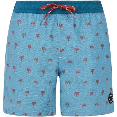 Men’s blue PROTEST PRTParco beach shorts
