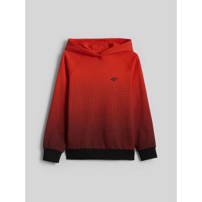 10. Boy's hoodie with all-over print 4F 4FJWAW26TSWSM2687-94A