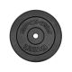 2. Cast iron weight 1.25kg Spokey Sinis SPK-944482