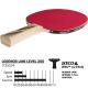 3. LEGENDS 300 FSC DONIC TABLE TENNIS RACKET