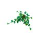 4. LEGO Botanical Collection 11512 - Hanging Golden Epipremnum