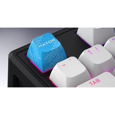7. HATOR Skyfall 65 MAG ULTRA 8K Gaming Keyboard USB QWERTY US English Black, White