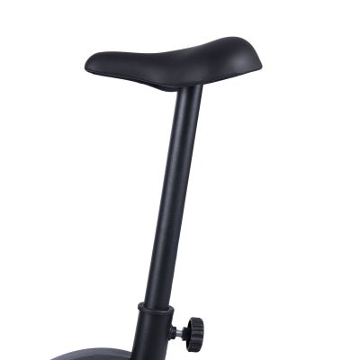 4. Body Sculpture C1660 V2 Magnetic Bike