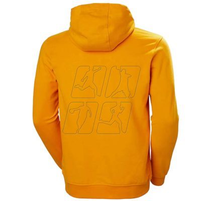 2. Helly Hansen Logo Hoodie M 33977-328