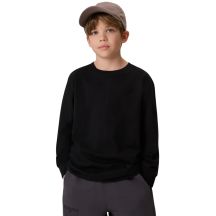 Boy's longsleeve t-shirt 4F M459 deep black 4FJWMM00TLONM459 20S