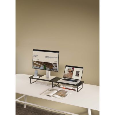30. GEMBIRD 2-MONITOR STAND (RECTANGULAR SHAPE)