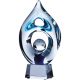 8. Glass trophy with case