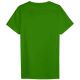 3. Men's cotton T-shirt 4F 4FWSS26TTSHM4483-41S