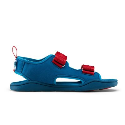 6. Affenzahn Sandal Chamude Airy Shark Jr 00392-30009