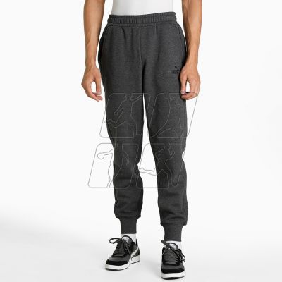 5. Puma ESS Logo Pants FL M 586714 07