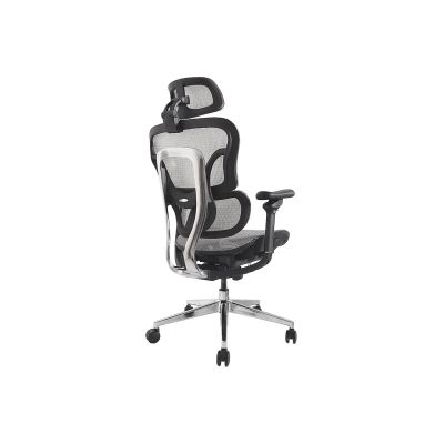 2. Ergonomic Office Chair + Headrest/Armrests Gray Solid Retail Equipment