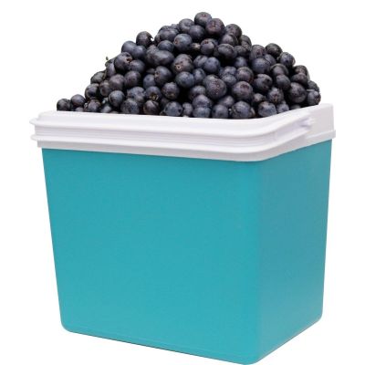 11. PASSIVE TOURIST REFRIGERATOR 24L TURQUOISE REDCLIFFS