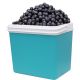 11. PASSIVE TOURIST REFRIGERATOR 24L TURQUOISE REDCLIFFS