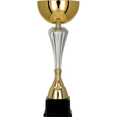 3. Gold and silver metal cup