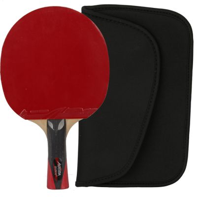 2. Aurora PRO 4* SG 4002 table tennis racket