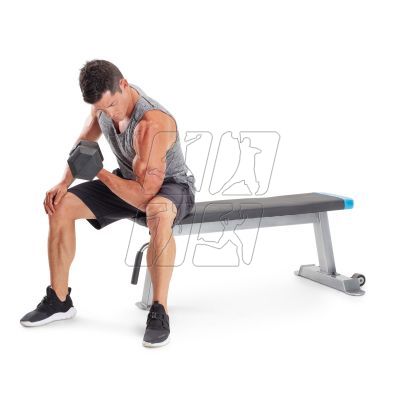 19. Proform Carbon Strength PFBE09620 horizontal bench