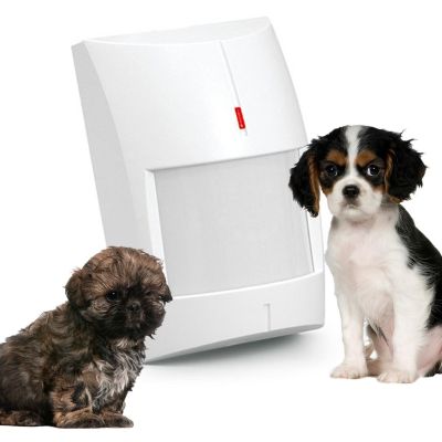 2. Satel GREY Indoor motion sensor white - Promotion!