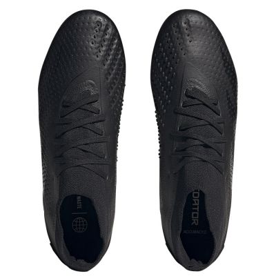 3. Adidas Predator Accuracy.2 FG M GW4588 football boots