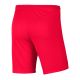 3. Shorts Nike Park III Knit Jr BV6865-635