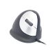44. Ergonomic mouse for right-handed users R-Go Pele HE USB large black/silver retail